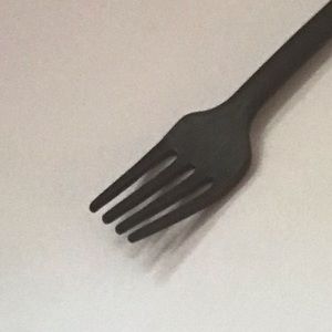 Meet your Posher, Beau